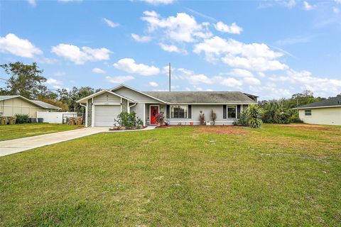 A home in MOUNT DORA