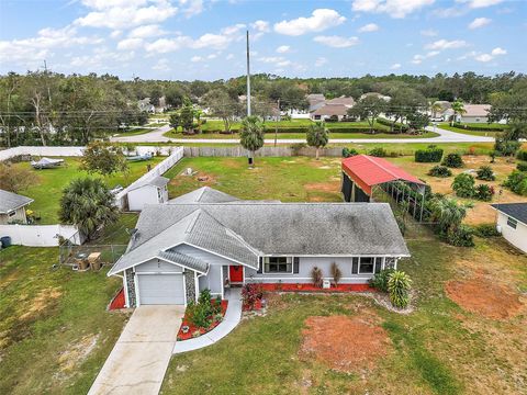 A home in MOUNT DORA