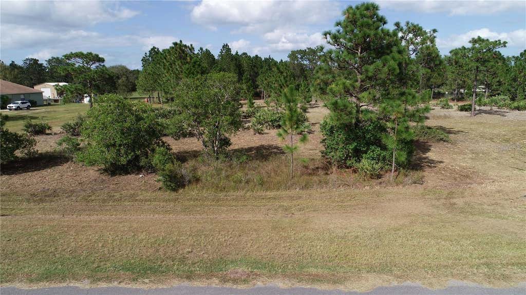 Photo of 19353 Reynolds Parkway, Orlando, FL 32833 (MLS # O6429526)