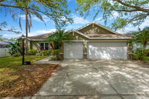 1166 LUMSDEN TRACE CIRCLE VALRICO FL 33594