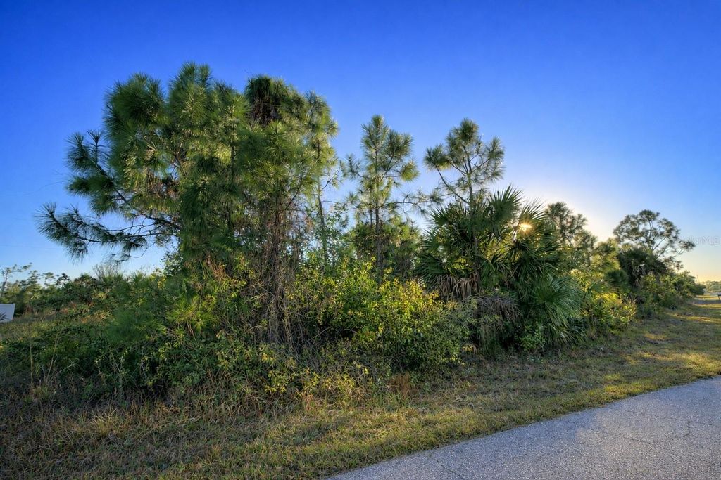 Photo of 12121 Snow Bird Avenue, Port Charlotte, FL 33981 (MLS # C7522343)