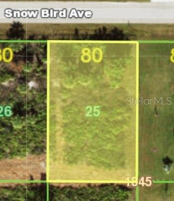 12121 SNOW BIRD AVENUE