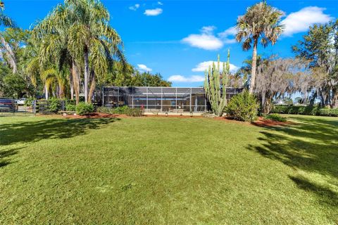 Tiny photo for 475 Guerrant Street, Umatilla, FL 32784 (MLS # G5105634)