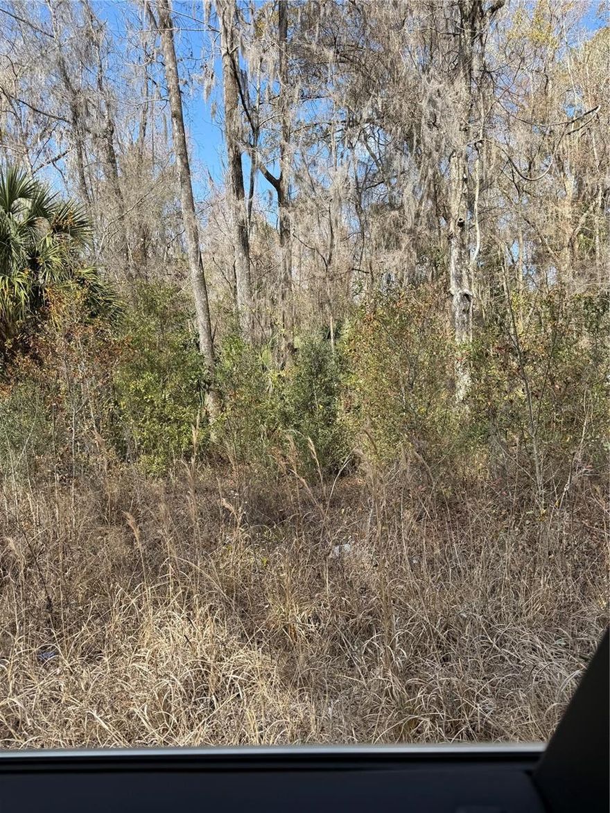 Come I see this piece of land incredible location build your dream home or manufactured home in the growing city of Ocala FL. Minutes front the World Equestrian Center , Ocala Downtown, schools and much more .