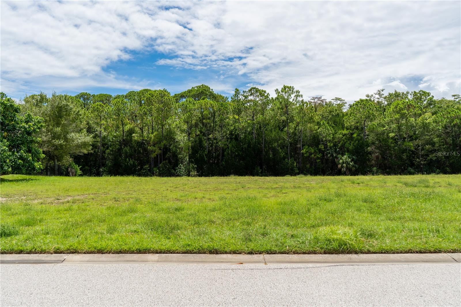 HERNANDO BEACH - Land