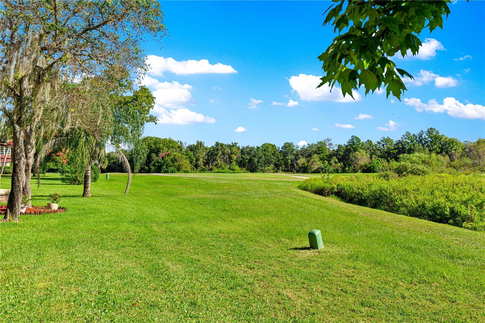 TWIN LAKES VILLAGE EAST - Residential