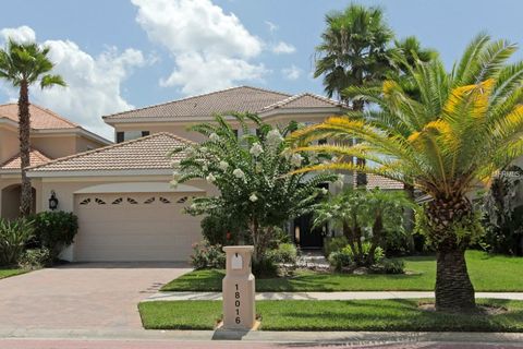 A home in TAMPA