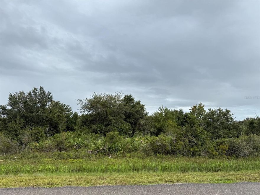 Location, location, location—this 1.5-acre corner lot sits right on the paved road in a peaceful rural setting, offering easy access, high visibility, and seller-covered closing costs to make your purchase even smoother. High and dry, this raw land is a blank canvas ready for your vision—whether you're planning to build a home, place a mobile or modular unit, or invest in Florida acreage. Zoned residential/agricultural with no HOA and no deed restrictions, you’ll enjoy the freedom to create the lifestyle you want—whether that includes outdoor living, recreation, gardening, or a small farm. Electricity is available nearby; well and septic will be needed for utilities.
Conveniently located just a short drive from the town of Okeechobee, shopping, schools, and Lake Okeechobee—famous for world-class fishing and outdoor activities. Don’t miss this opportunity to own a prime corner lot in Viking Estates with flexibility, privacy, and natural beauty.