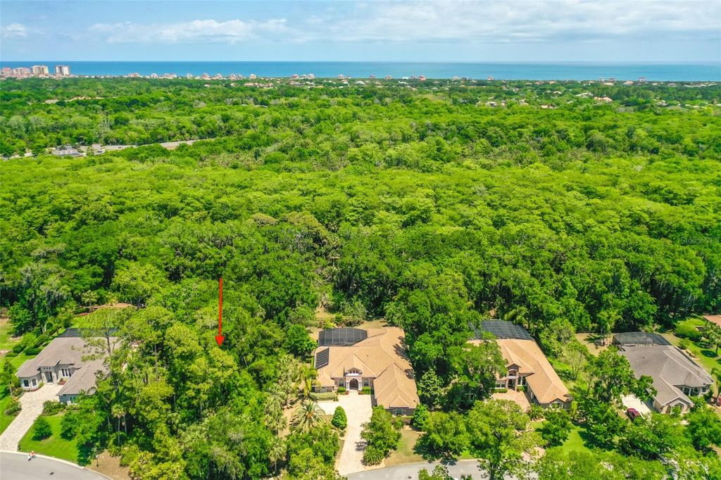 Photo of 181 Willow Oak Way, Palm Coast, FL 32137 (MLS # FC312538)