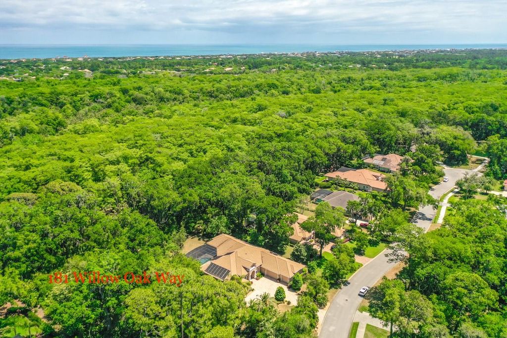Photo of 181 Willow Oak Way, Palm Coast, FL 32137 (MLS # FC312538)