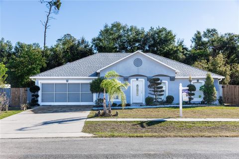 A home in DELTONA