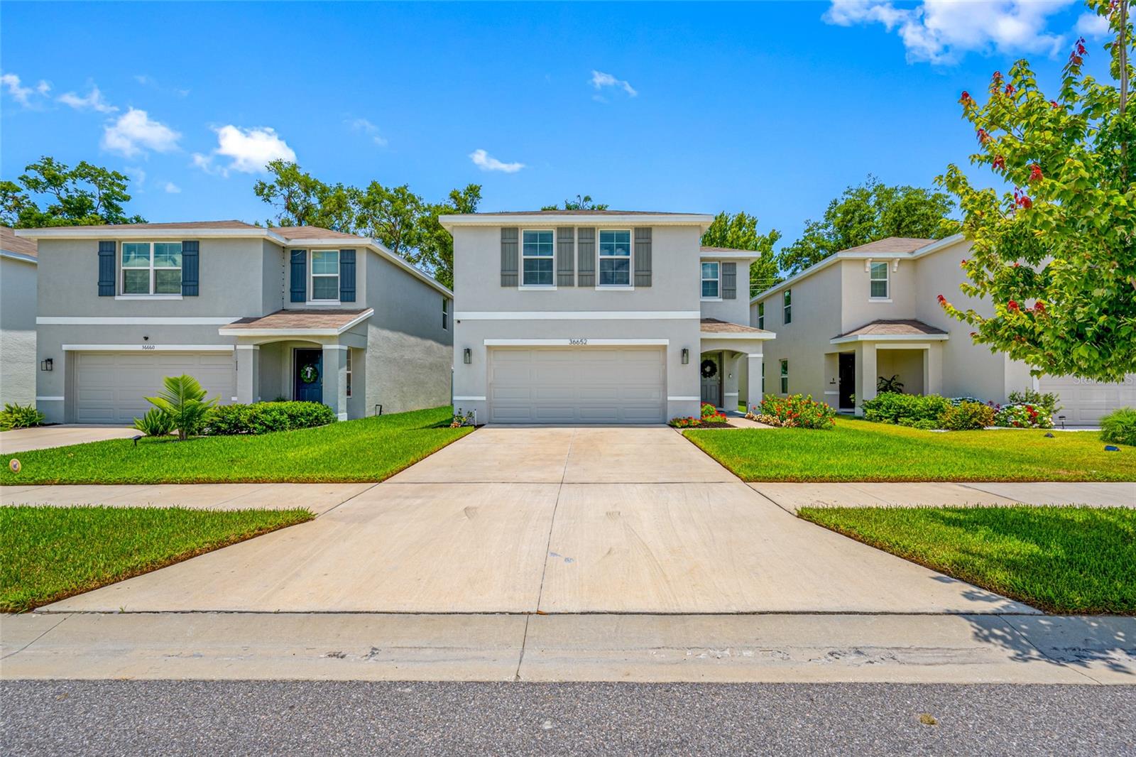 36652 N SPANISH ROSE DRIVE