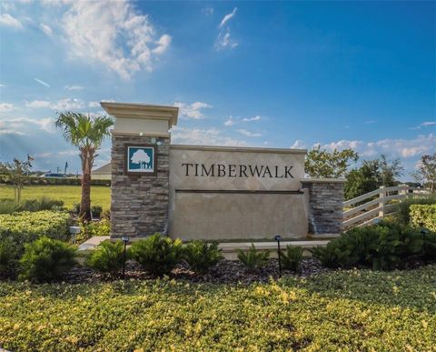 Tiny photo for 5189 Greenheart Avenue, Mount Dora, FL 32757 (MLS # O6408426)