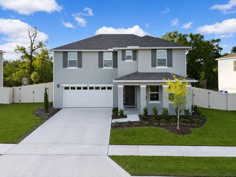 Photo of 5189 Greenheart Avenue, Mount Dora, FL 32757 (MLS # O6408426)