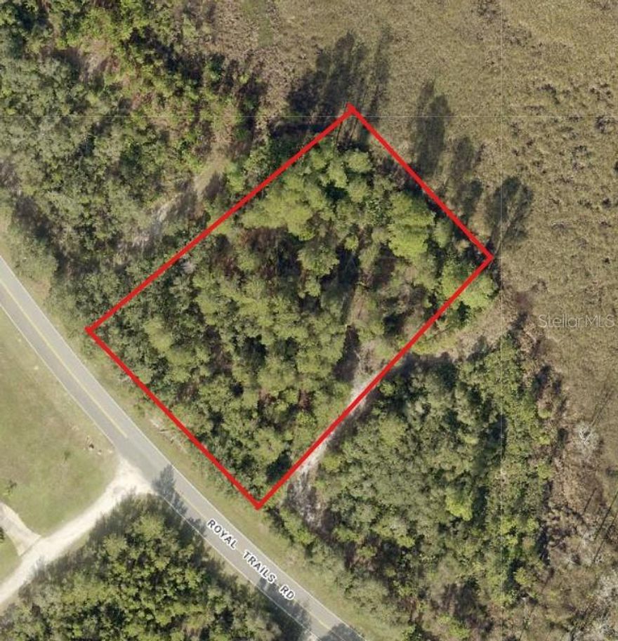 This lot has the Seminole State Forest on 3 sides!!! The only neighbors on your side of the street are deer and turkeys. An entire acre of land MOL Ride horses or whatever off of your property into the Seminole State Forest. Come live in the country but only 12 minutes to Publix, and 13 minutes to Wekiva Parkway/SR429. Community Clubhouse/playground. Community boat ramp to private 1,200 acre Lake Norris. HOA fees only $80 a year. Paved, county maintained roads. No manufactured homes allowed. 15 minutes to public boat ramp onto St Johns River at Ed Stone Park.