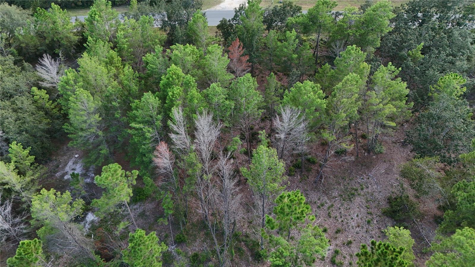 ROYAL TRAILS UNIT 01 REP 01 - Land