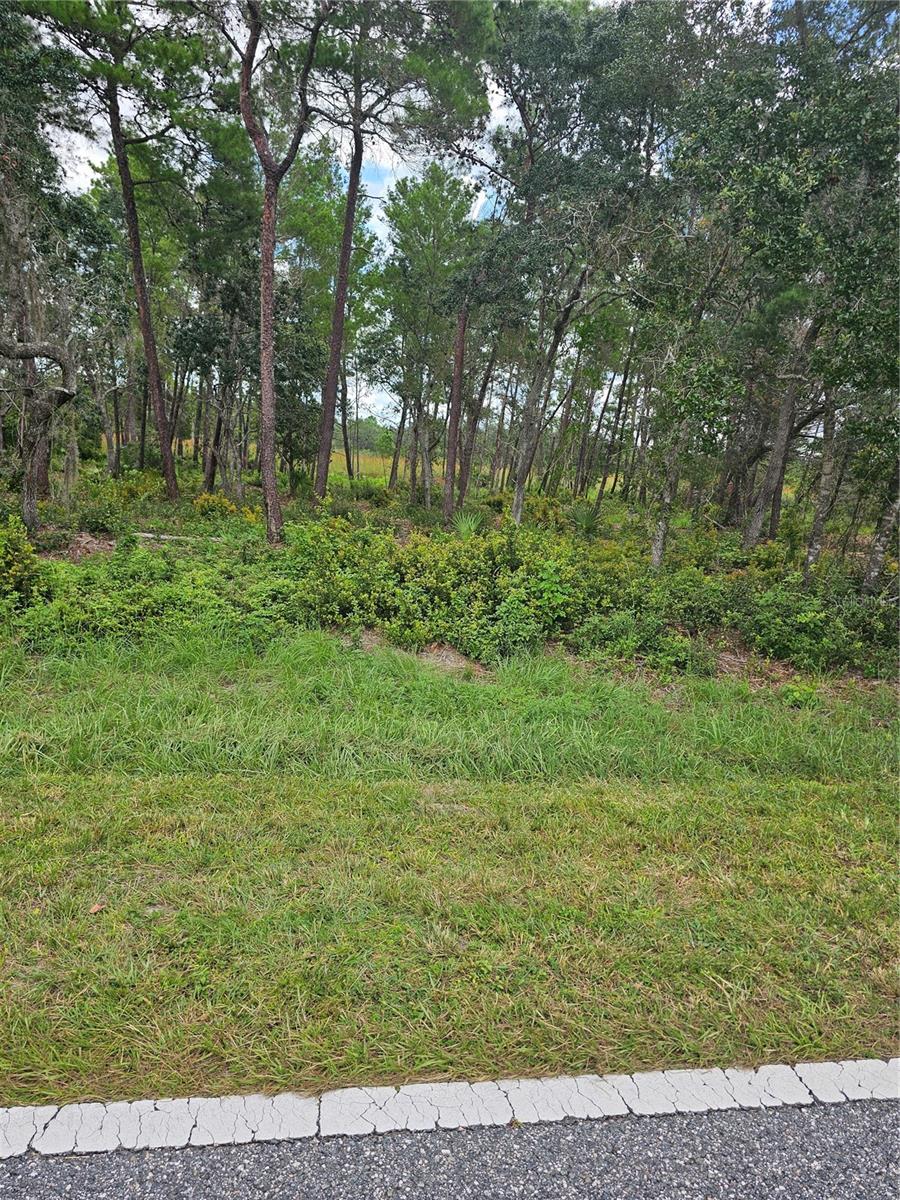 39600 ROYAL TRAILS ROAD