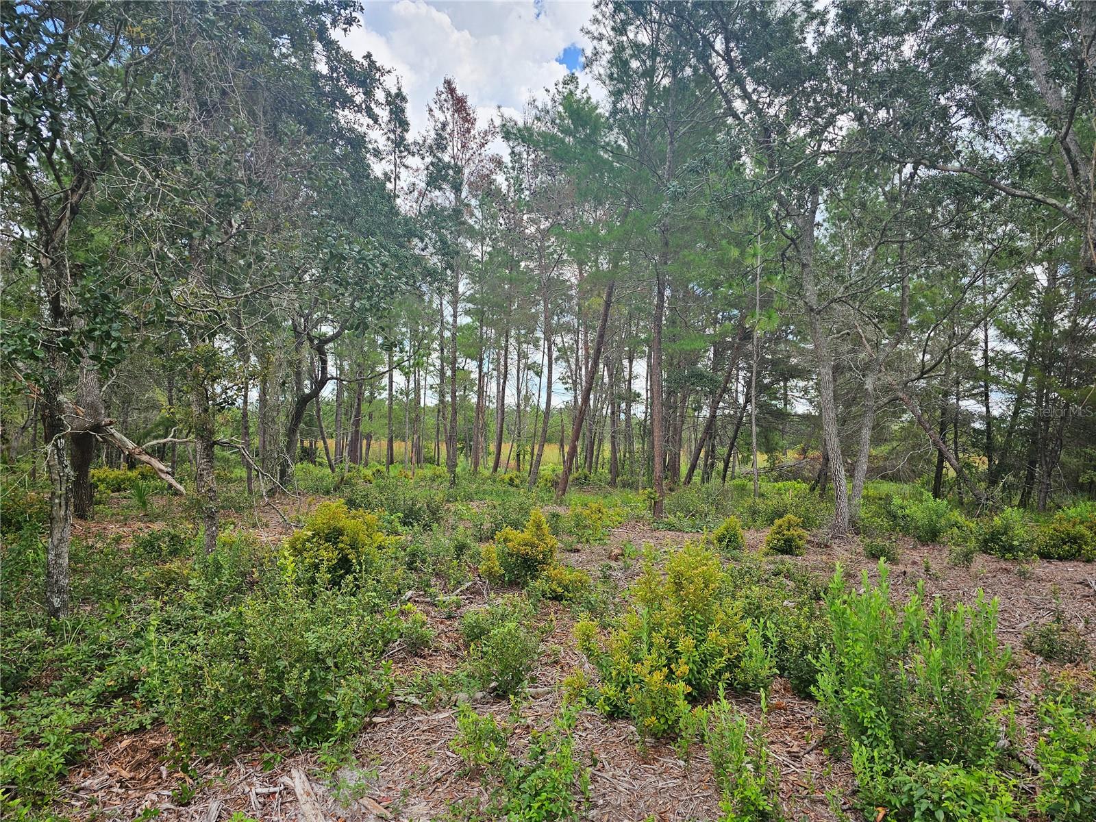 ROYAL TRAILS UNIT 01 REP 01 - Land