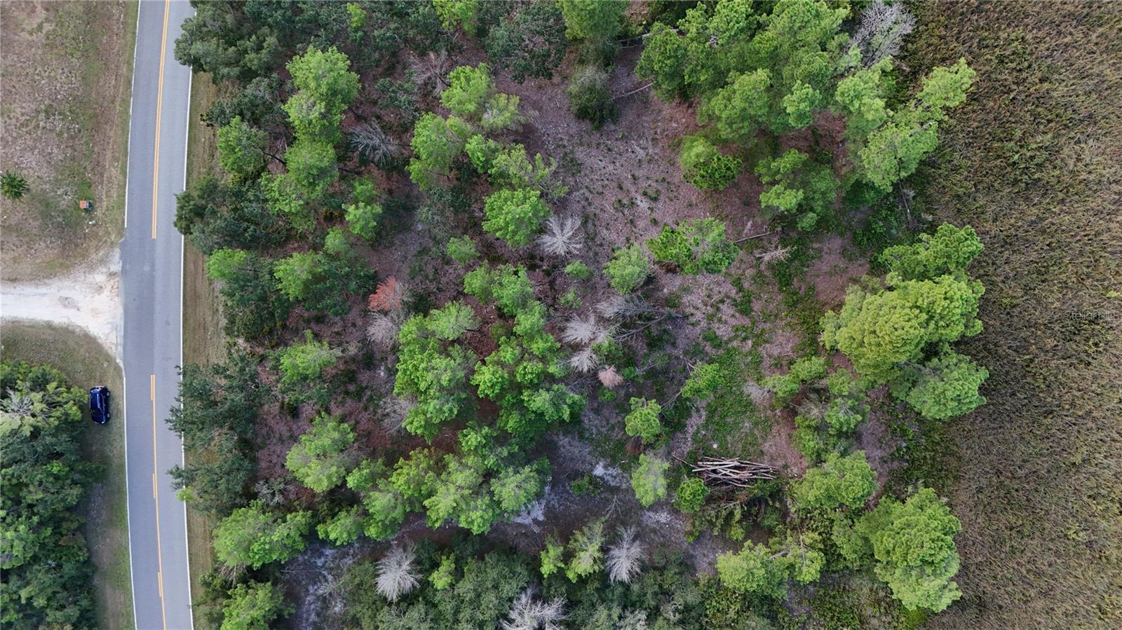 ROYAL TRAILS UNIT 01 REP 01 - Land