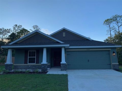 Photo of 10060 N Carver Drive, Citrus Springs, FL 34434 (MLS # OM698608)