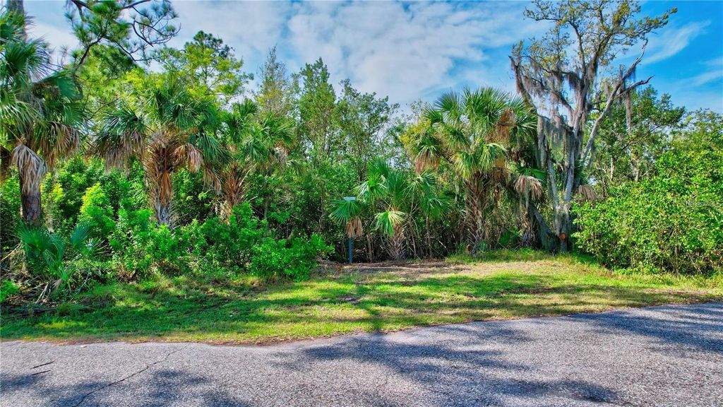 Photo of Strathmore Avenue, Oldsmar, FL 34677 (MLS # TB8404464)
