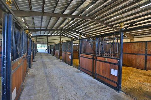 Tiny photo for 6025 NW 115th Avenue, Ocala, FL 34482 (MLS # OM692080)