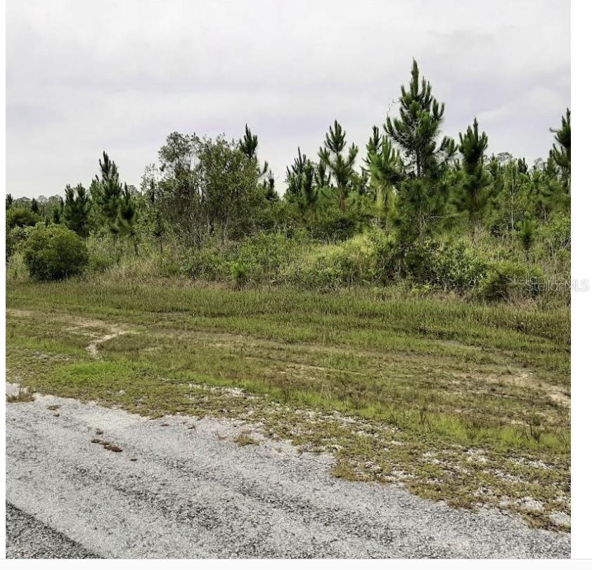 INDIAN LAKE ESTATES - Land