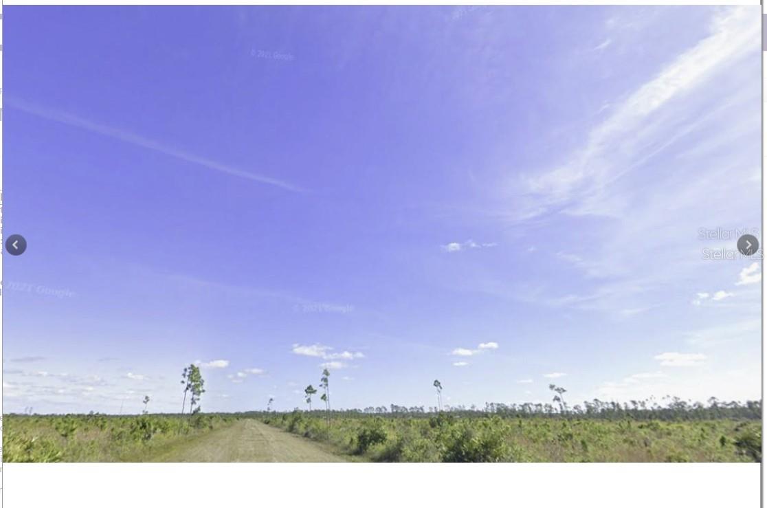 INDIAN LAKE ESTATES - Land