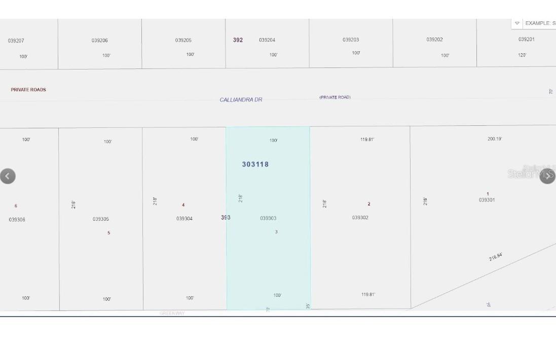 INDIAN LAKE ESTATES - Land