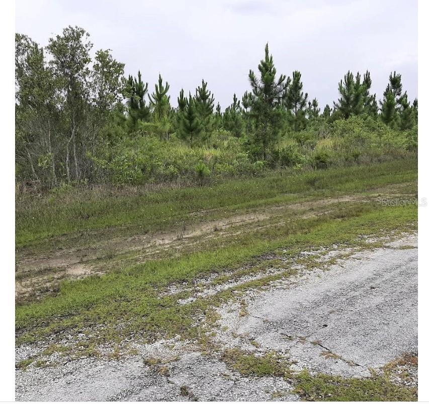 INDIAN LAKE ESTATES - Land