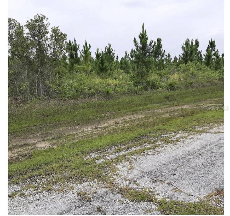 Build your dream home on this half-acre lot nestled in the welcoming lake community of Indian Lake Estates, a hub for golfing, fishing, and boating in the heart of Florida. Indian Lake Estates sits about 20 miles east of Lake Wales, encircling the renowned 7,500-acre Lake Walk In Water, famous for its exceptional fishing and hailed as one of Florida's top bass fishing spots. The lake features a beach, a boat ramp, a marina, and boasts the longest freshwater fishing pier in the state. At the pier's front, you'll discover a pavilion equipped with propane grills and covered picnic tables, perfect for gatherings. The community amenities are extensive, including an 18-hole golf course, basketball and tennis courts, a spacious 23,000 sq. ft. clubhouse, a cafe, post office, churches, a library, fitness room, and pro shop. If you cherish nature and the tranquility of country living, you’re in for a treat. The area is teeming with wildlife; keep an eye out for deer, raccoons, turkeys, turtles, cranes, and a variety of birds that call this community home. Orlando and Disney are just an hour’s drive north, while Tampa, Busch Gardens, and the pristine beaches of the Gulf are a bit over an hour to the west. You’ll also find the historic Bok Tower, a National Landmark, in nearby Lake Wales. And just six miles away, the Westgate River Ranch Resort and Rodeo offers a taste of authentic Florida with a full-service resort experience, spanning 1,700 acres. Here, you can enjoy horseback riding, wildlife airboat and swamp buggy rides, a championship rodeo on Saturday nights, a trap/skeet range, nature hikes, a petting farm, a marina, and an Adventure Park with zip lines and rock climbing walls. Dining options include the Westgate Smokehouse Grill and River Ranch Saloon, along with a fantastic selection of cowboy-themed accommodations, from lodge rooms and deluxe suites to spacious cottages and deluxe teepees. Come experience the charm of Indian Lake Estates—Polk County’s best-kept secret!