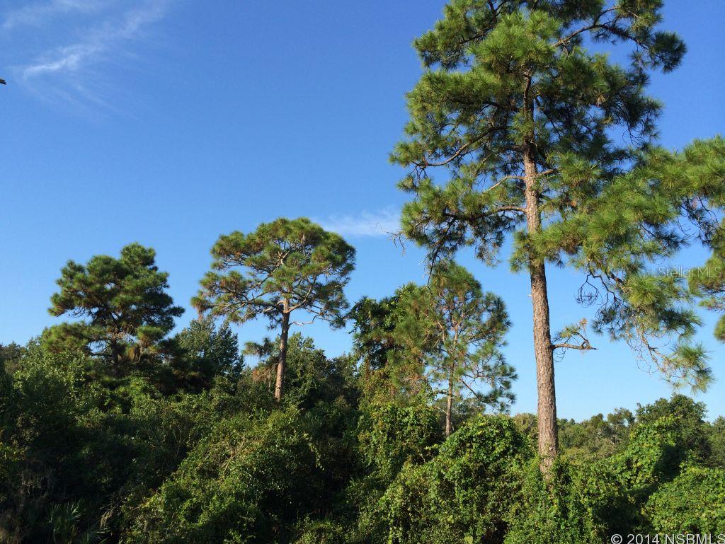 Florida Shores 01 - Residential