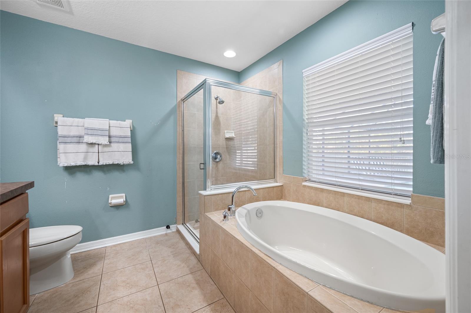 WILDERNESS LAKE PRESERVE - Residential