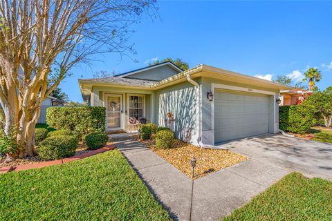 Photo of 21351 Morning Mist Way, Land O Lakes, FL 34637 (MLS # TB8456106)