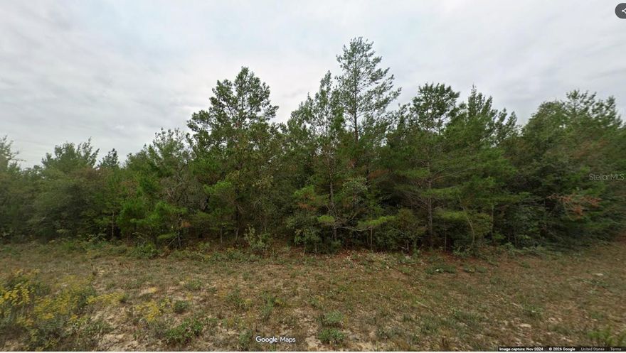 Seller has 2 adjacent lots on Kenmore Circle, only 3 minutes or so to the DG Market!! This one is Lot 12 , an oversized, outside corner and is .387 acre (00000000-06-0364-0012). It is listed at $7,900. Seller also owns Lot 11, which is .229 acres (00000000-06-0364-0011). Lot 11 is LISTED AT $5,900. Lots are adjoining and the seller prefers to sell them together. Both lots together total .616 acres. These are nice building lots for single-family homes in the quickly growing subdivision of Sunny Hills!! ...what are you waiting for...Sunny Hills boasts the magnificent Sunny Hills Golf and Country Club!! No time frame to build in...homes only subdivision, no mobile homes...no HOA!! Come build your dream home now!! Don't miss out, call today!!!