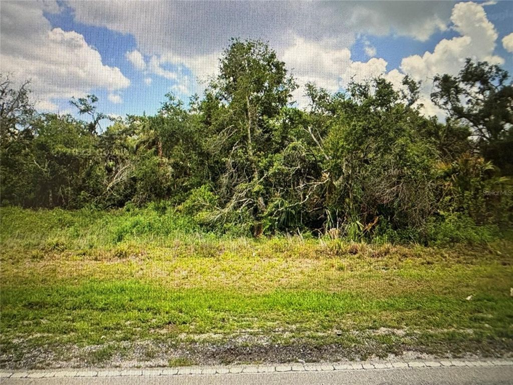 Photo of 16197 Hillsborough Boulevard, Port Charlotte, FL 33954 (MLS # TB8426451)