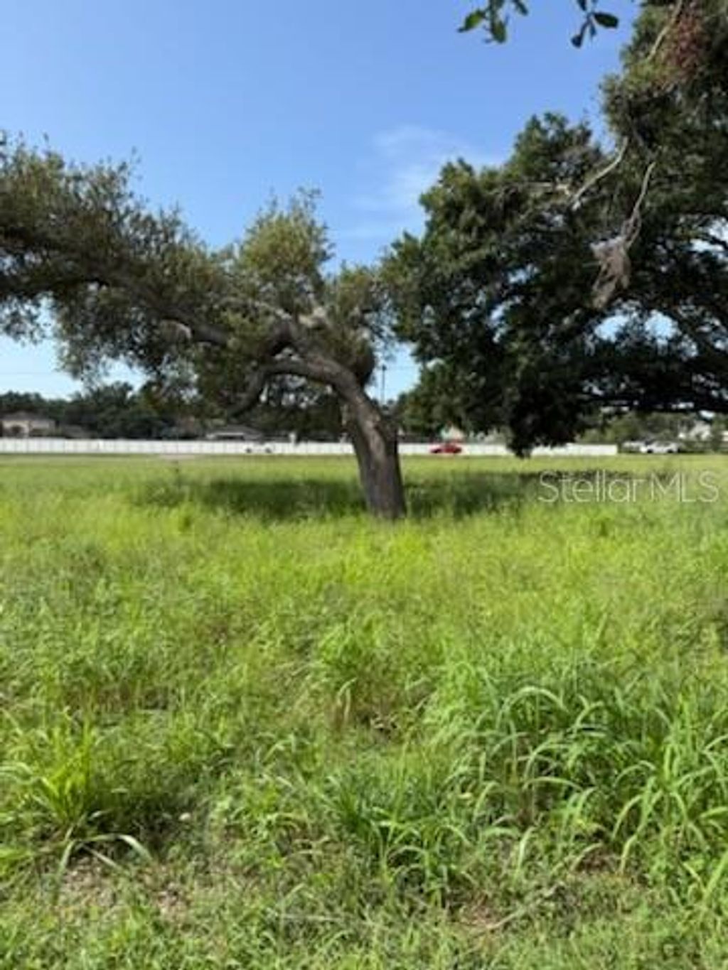 Photo of 510 Calhoun Avenue, Seffner, FL 33584 (MLS # TB8402494)