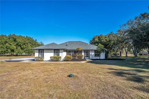 Tiny photo for 13900 Gadson Street, Groveland, FL 34736 (MLS # O6378055)
