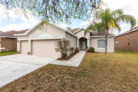 11715 SUMMER SPRINGS DRIVE RIVERVIEW FL 33579