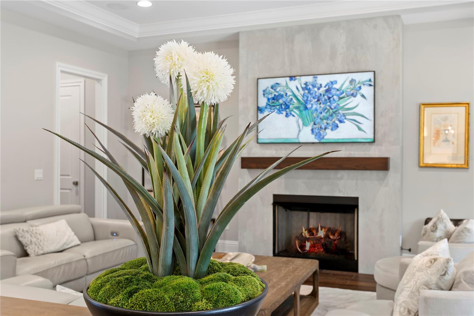 BEACH PARK - Residential