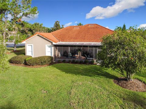 A home in KISSIMMEE