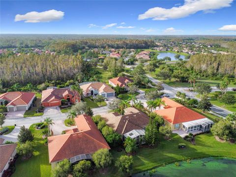 A home in KISSIMMEE