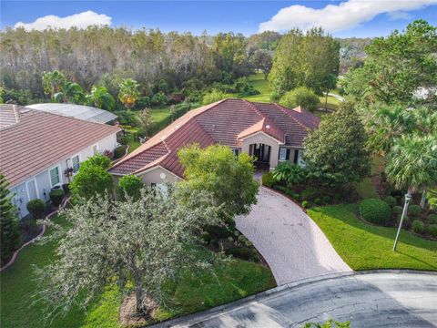 A home in KISSIMMEE