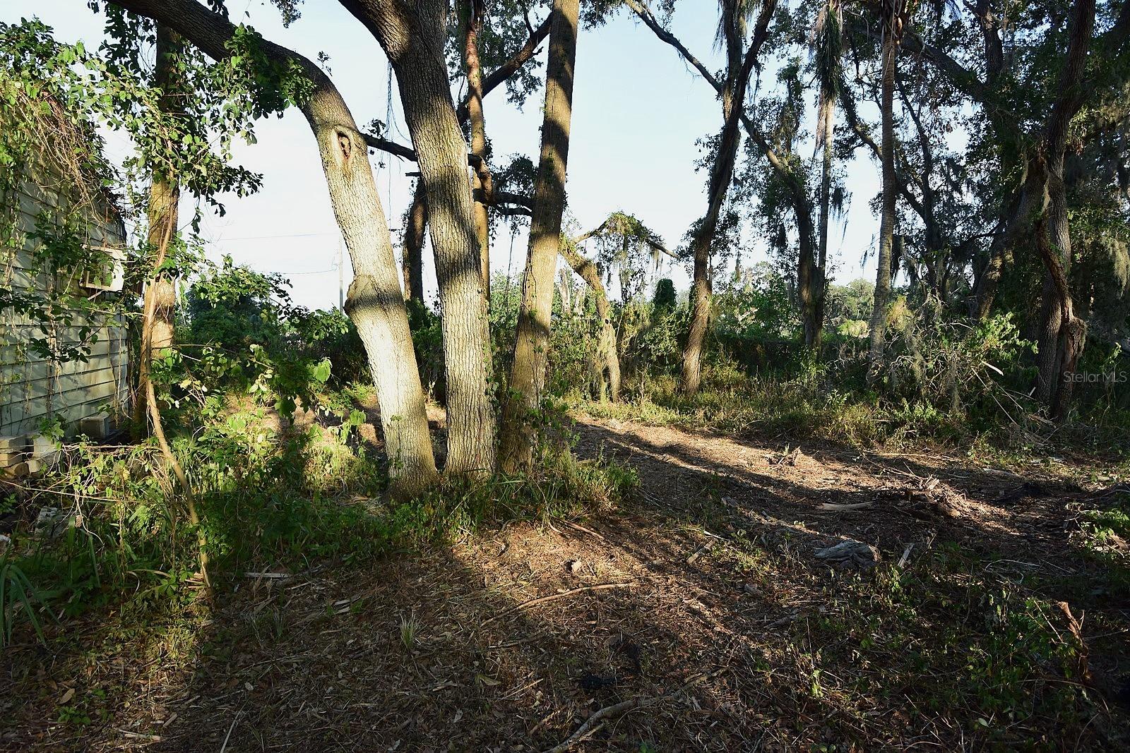 UNPLATTED - Residential