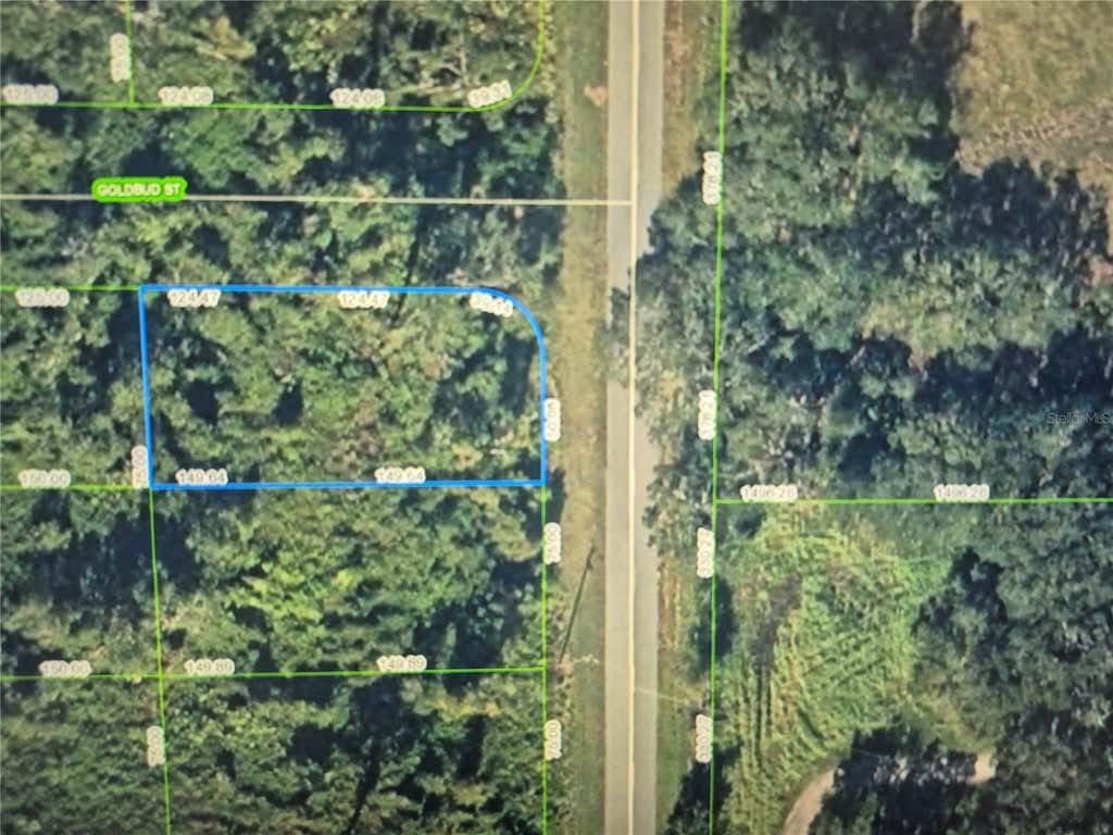 Photo of 242 Highlands Lake Drive, Lake Placid, FL 33852 (MLS # O6424998)