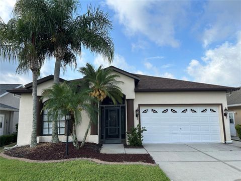 11520 LOUNDS COURT NEW PORT RICHEY FL 34654