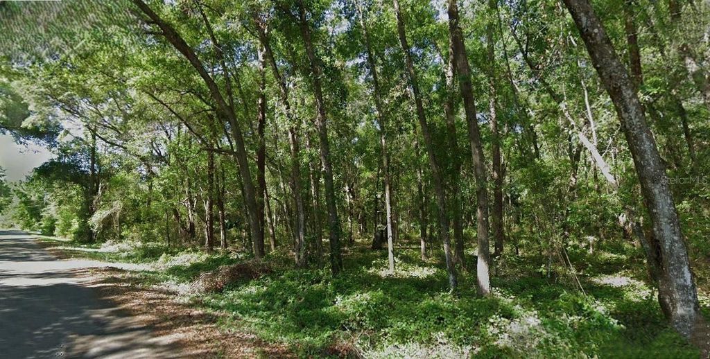 Photo of Sequoia Loop Trace, Ocklawaha, FL 32179 (MLS # O6343209)