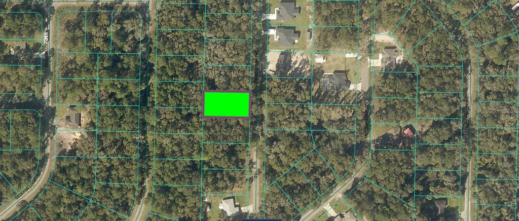 Photo of Sequoia Loop Trace, Ocklawaha, FL 32179 (MLS # O6343209)