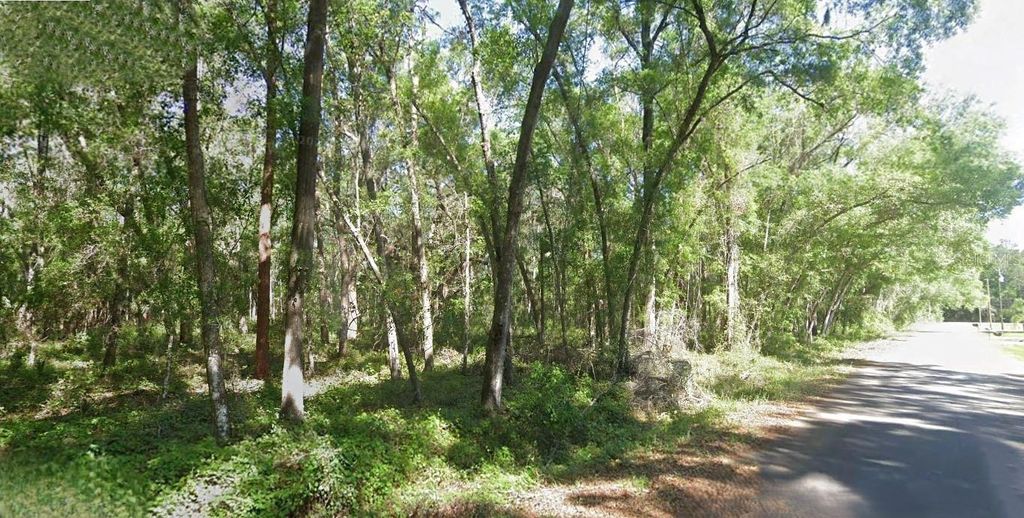 Photo of Sequoia Loop Trace, Ocklawaha, FL 32179 (MLS # O6343209)