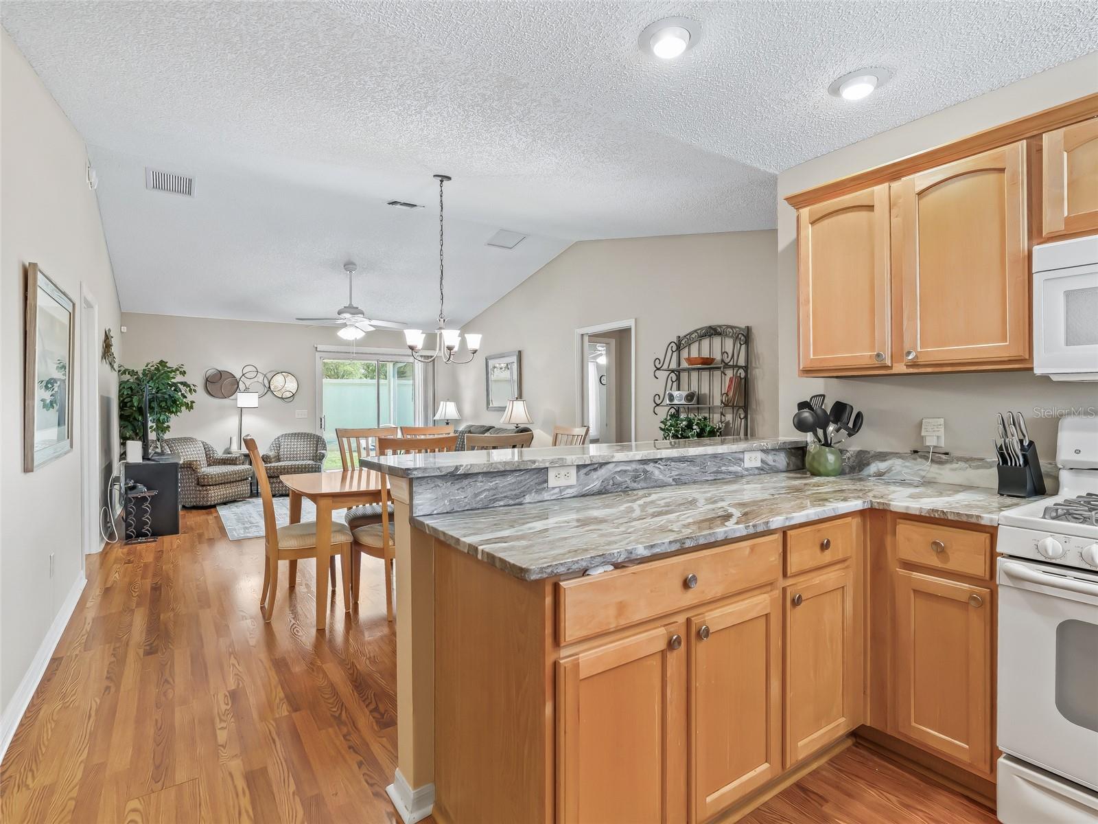 VILLAGES/SUMTER - Residential